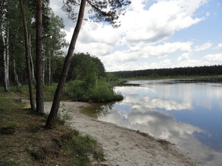 the beauty of silence