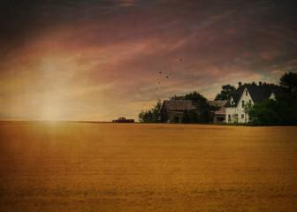Sunrise over a field of wheat. Texture effect added.