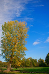 Fototapeta premium Dramatic sky in an amazing landscape