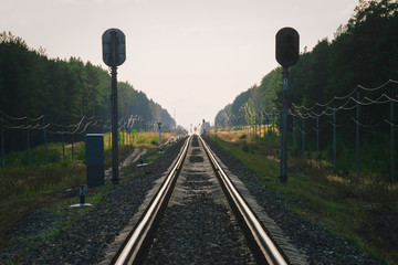Mystic train travels by rail along forest. Railway traffic light and locomotive on railroad in distance. Mirage on railway track. Atmospheric landscape.