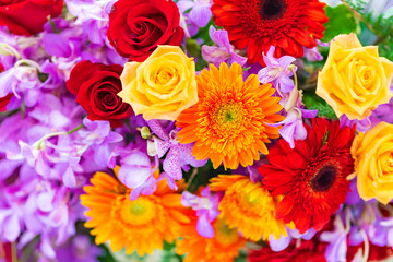 Mixed wedding flower, Multi colored floral background
