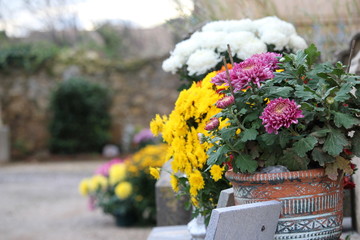 Fototapeta na wymiar cimetière fleuri 1er novembre