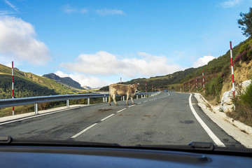 Spanien - Kantabrien - Picos de Europa - Garganta del Cares