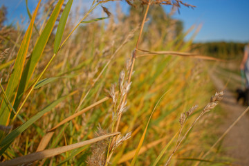 Dramatic sky in an amazing landscape