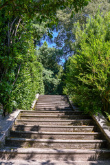 Vista dal basso di un'antica scalinata in pietra in un parco con alberi verdi in estate, Isola Madre, Lago Maggiore, Italia