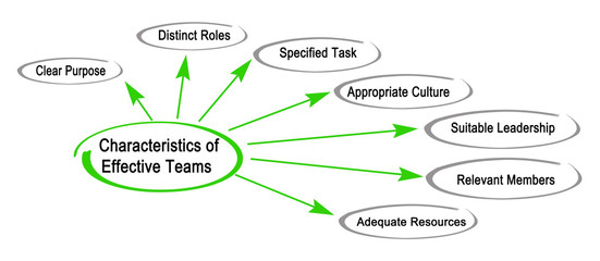 Characteristics of Effective Teams
