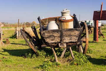 Obraz premium Schaf und Milchkarren auf der Weide