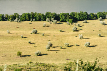 Typical landscape of Moldova