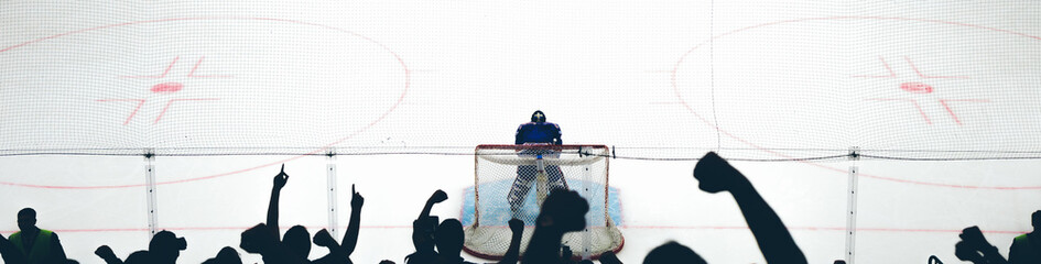 fans on the hockey match