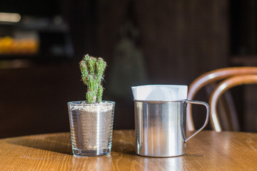 close up picture of succulents stand on the table in cafe, interior decorations with plants