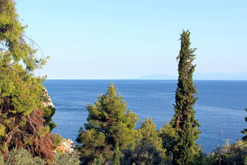 Fototapeta premium Stafylos bay skopelos island greece landscape with trees
