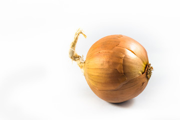 One yellow onion against a white background