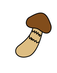 松茸2模様(色)