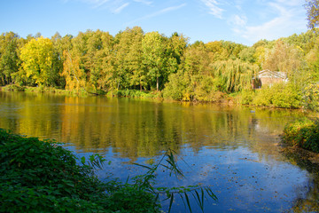 Fototapeta na wymiar A beautiful lake in Germany