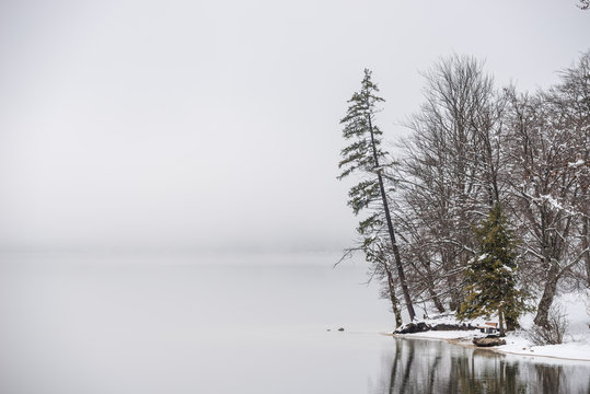 Winter lake Bohinj shore with trees and snow