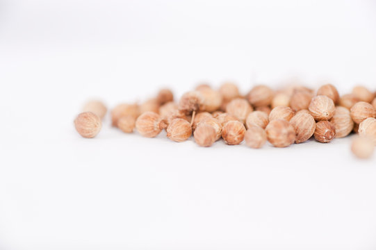 Coriander Seeds / Koreander Samen