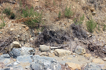 Eroded beach cliff vegetation and boulders horizontal