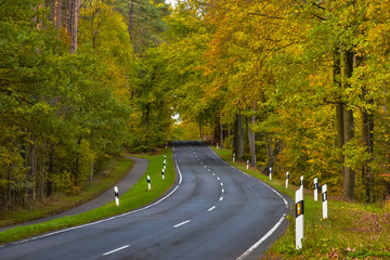 Obraz premium Strasse Herbst Landstrasse Farben Kurve