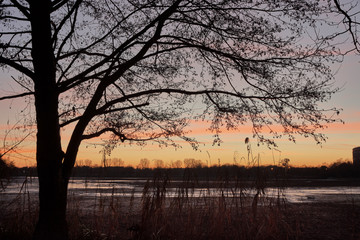 Kahle Erlenäste, Sonnenuntergang im Winter am Dutzendteich