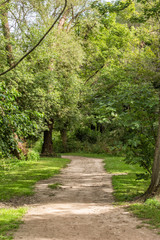 Trail in a Wooded Park