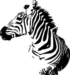 Zebra head vector hand drawn