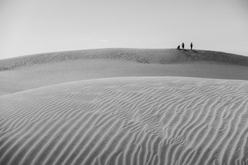 Fototapeta na wymiar Sand Dunes of Maspalomas in Black & White. Gran Canaria. Canary Islands.