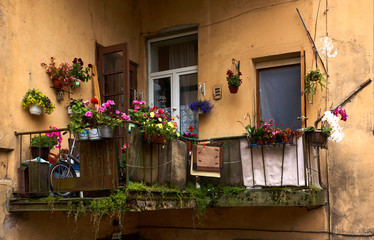 Fototapeta na wymiar Old balcony with flowers