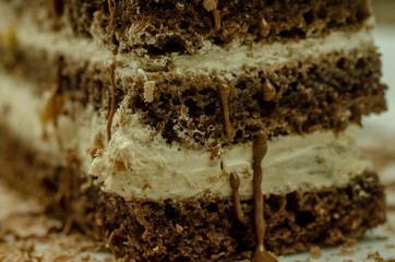 chocolate and nuts cake