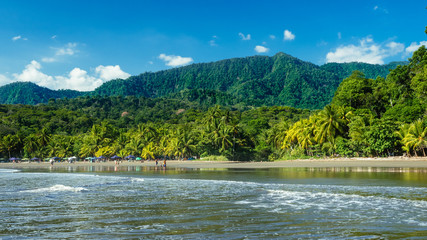 Fototapeta na wymiar Tropical landscape, jungle plus beach.