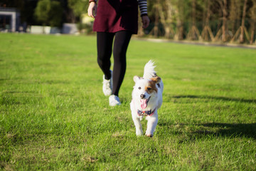 Dog and hostess, park background