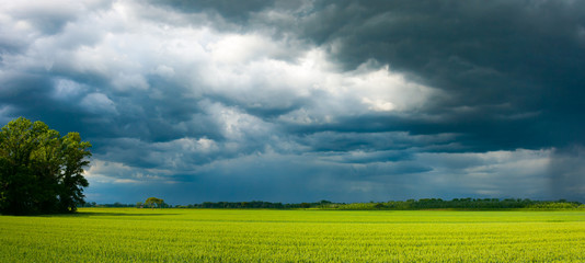 Sunlight and thunderstorm