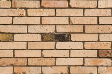 Close-up of a brick wall texture. Faded brick wall background. Colored bricks facade.