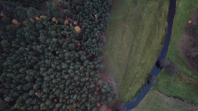 river shore trees water autumn gorge forest