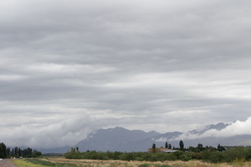 MENDOZA PAISAJE