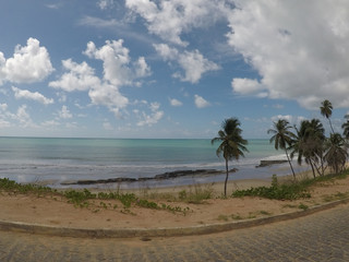 Japaratinga Beach - Alagoas - Brazil. Beach of warm waters with many palm trees and blue sky with clouds