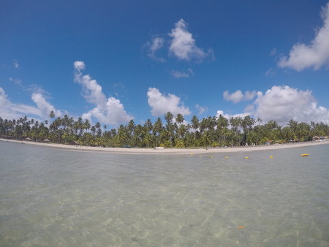 Carneiros Beach - Tamandare -Pernambuco - Brazil. Beach of warm waters with many palm trees and blue sky with clouds