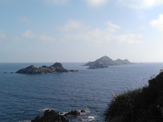 Les sanguinaires