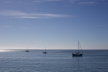 Fototapeta premium Sailboat at mooring in harbor on calm water