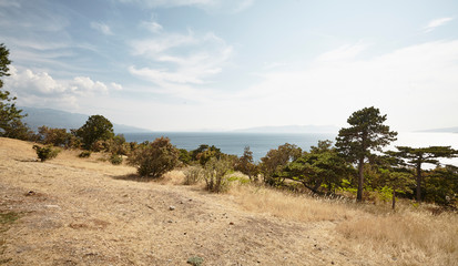 Kroatien_Senj_K&uuml;ste1