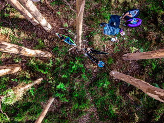 Obraz premium Forest Hangs