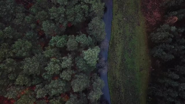 river shore trees water autumn gorge forest