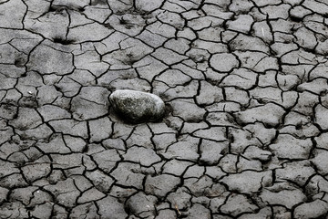 Dry cracked mud close up