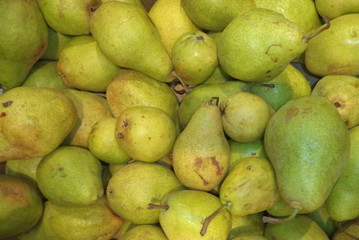 ripe fresh pears of new harvest