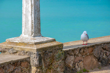 Fototapeta premium Oamaru Harbour
