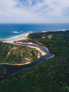 River Mouth