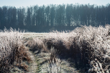 Autumn landscape with frost