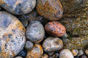 Pebbles on Boulder Beach, Acadia National Park, Maine