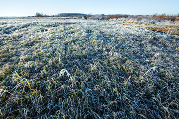 Autumn landscape with frost