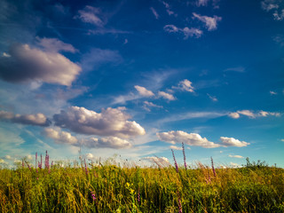 Prairie skies