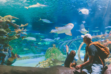 father and son at the aquarium